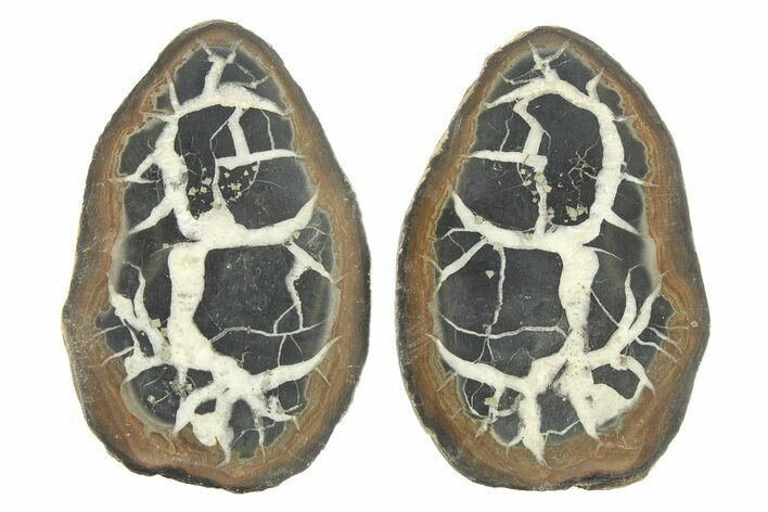 Cut/Polished Septarian Nodule Pair - Morocco #273621